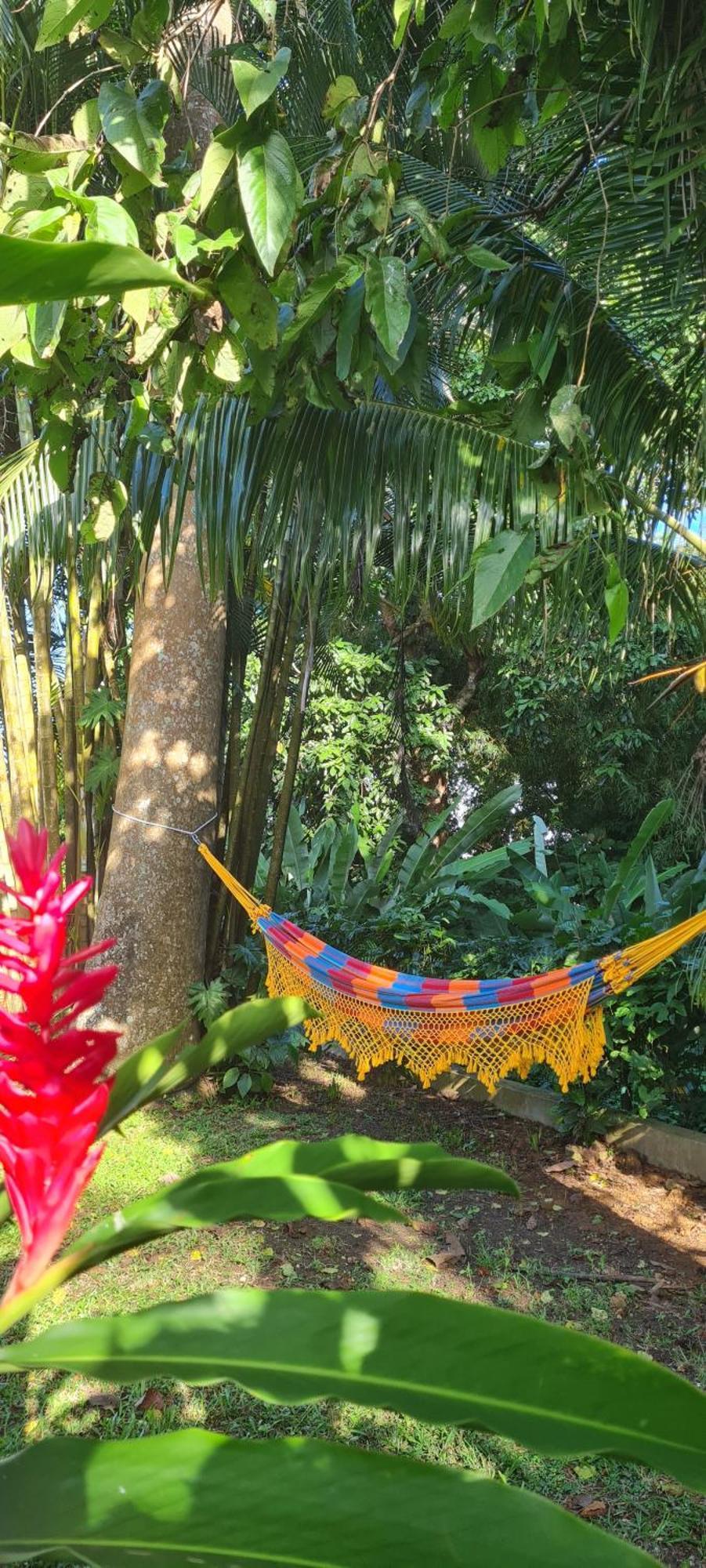 Gite Kaz A Topaze, Piscine, Jardin Tropical Sainte-Rose Extérieur photo